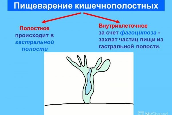 Ссылка на kraken at