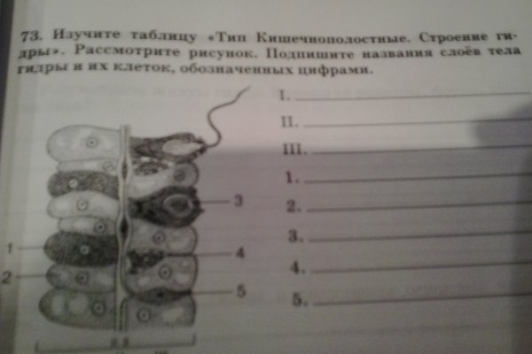 Кракен сайт ссылка онлайн