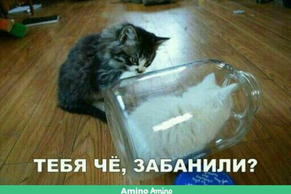 Купить наркотики в москве