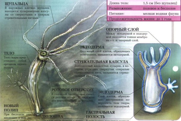 Зарегистрироваться на сайте кракен
