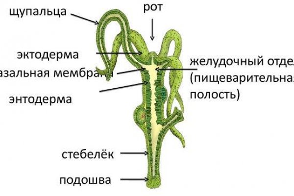 Кракен тор это