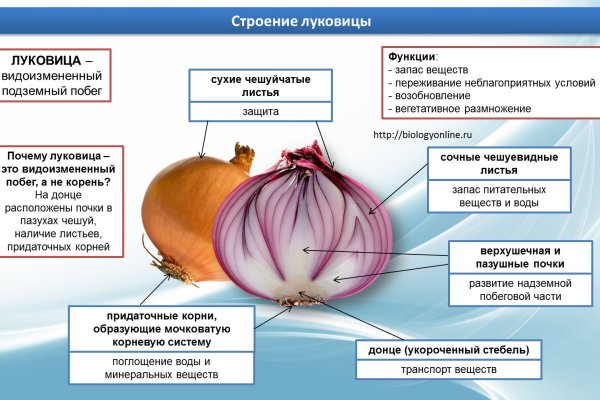 Kraken ссылка onion 2kmp