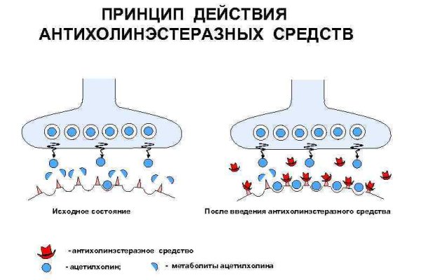 Кракен сайт ссылка