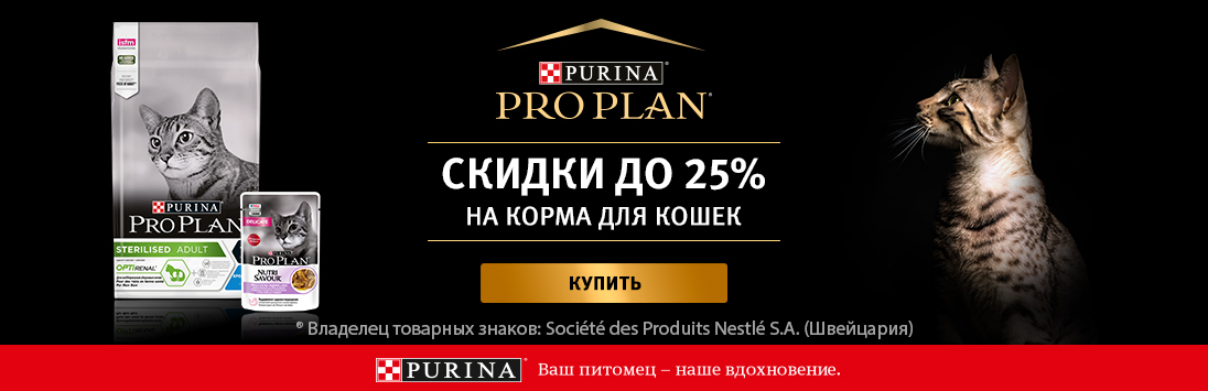 Кракен макет даркнет